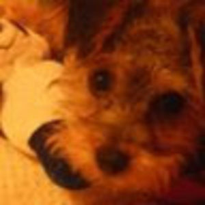 Meet your Posher, Natalia